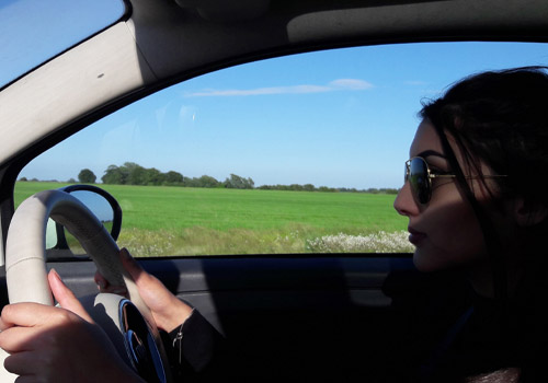 AI, Web design & SEO posts