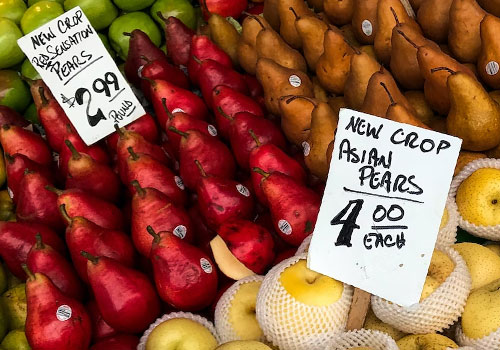 AI, Web design & SEO posts